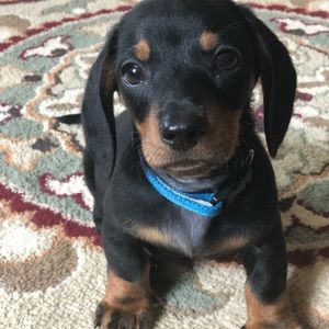 Meet your Posher, Katie